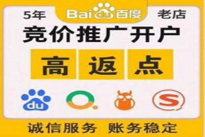 百度竞价策略成功案例：如何做到日赚千元